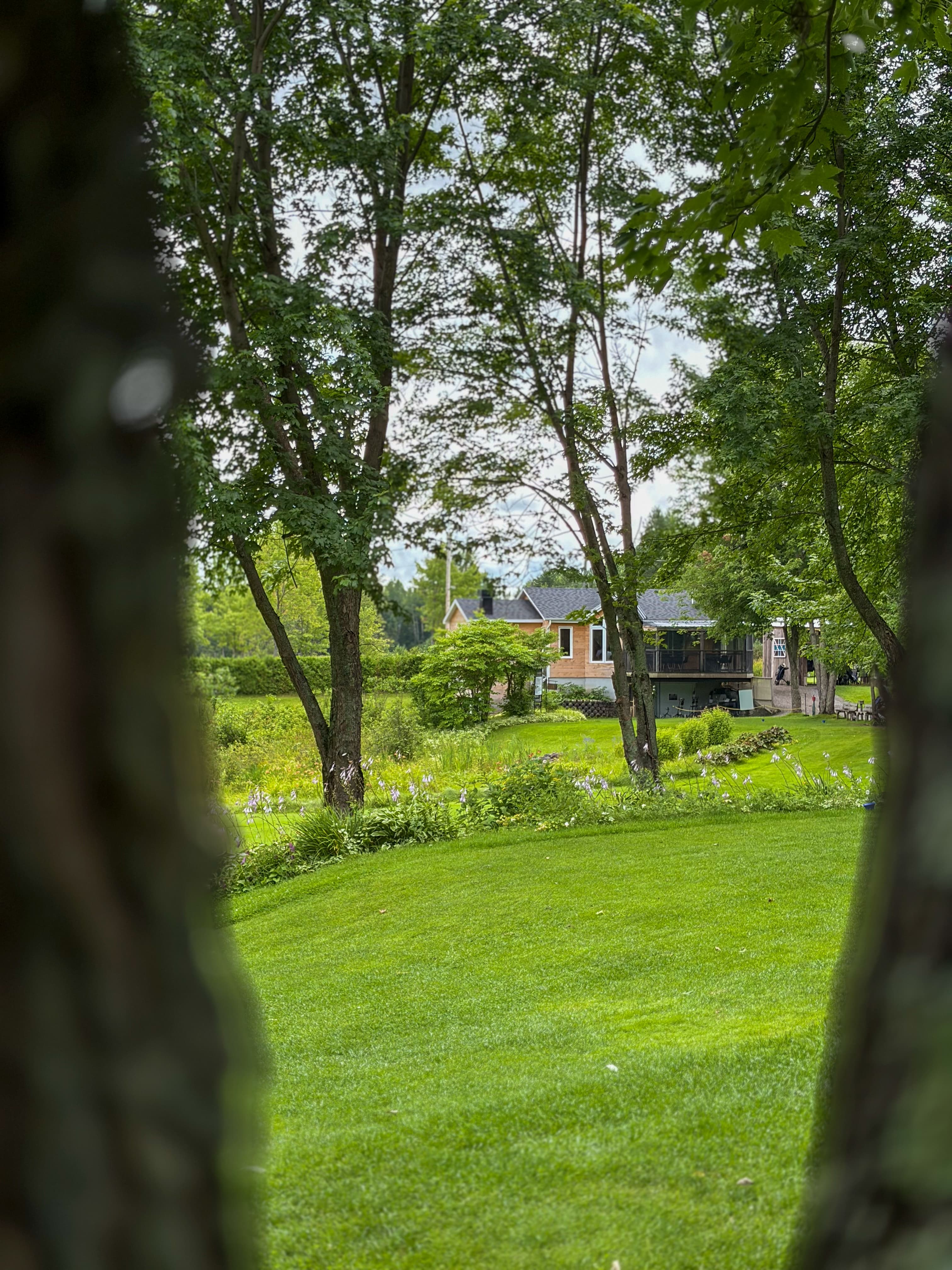 Lawn and mature trees on the 140-acre estate