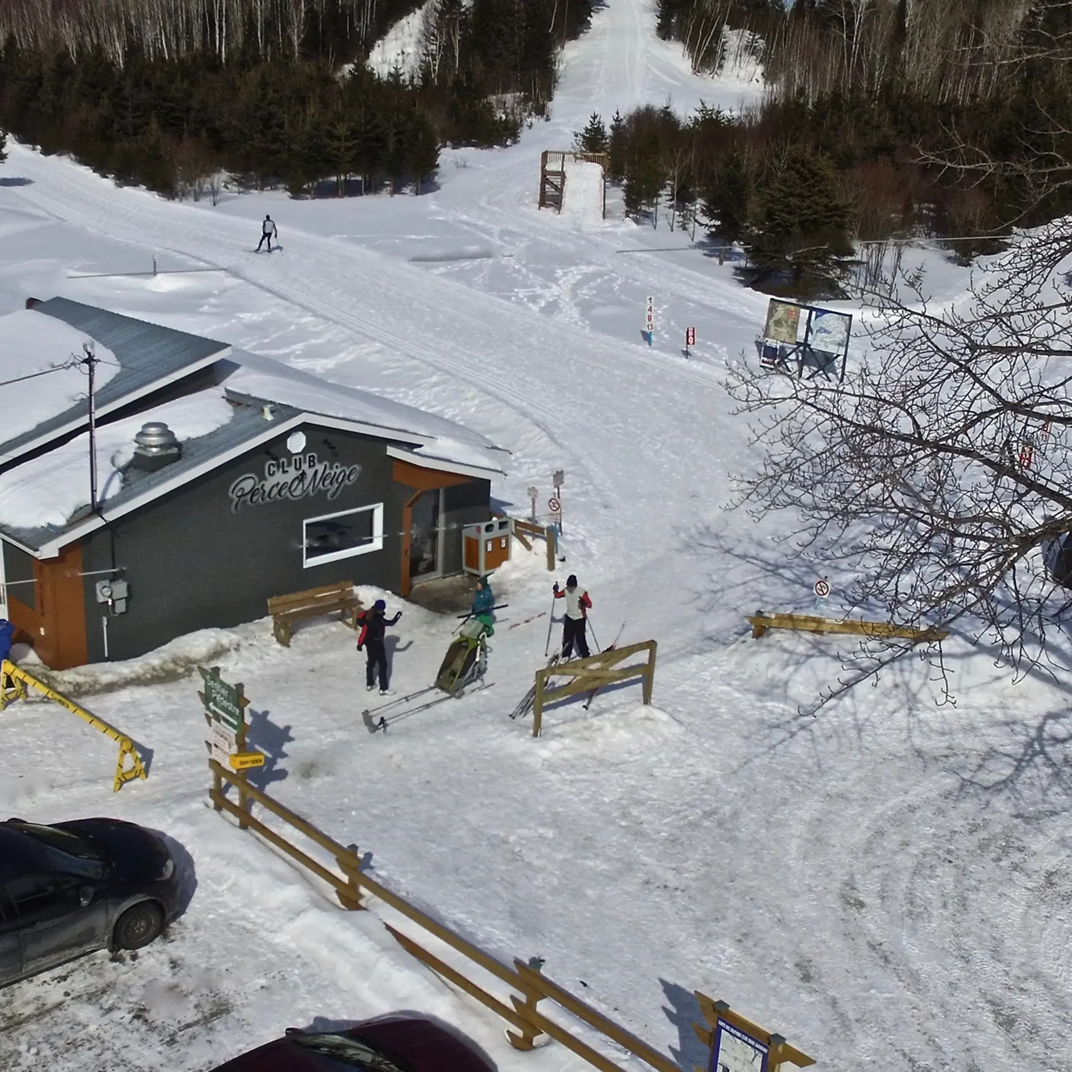 A cross-country ski trail through the boreal forest
