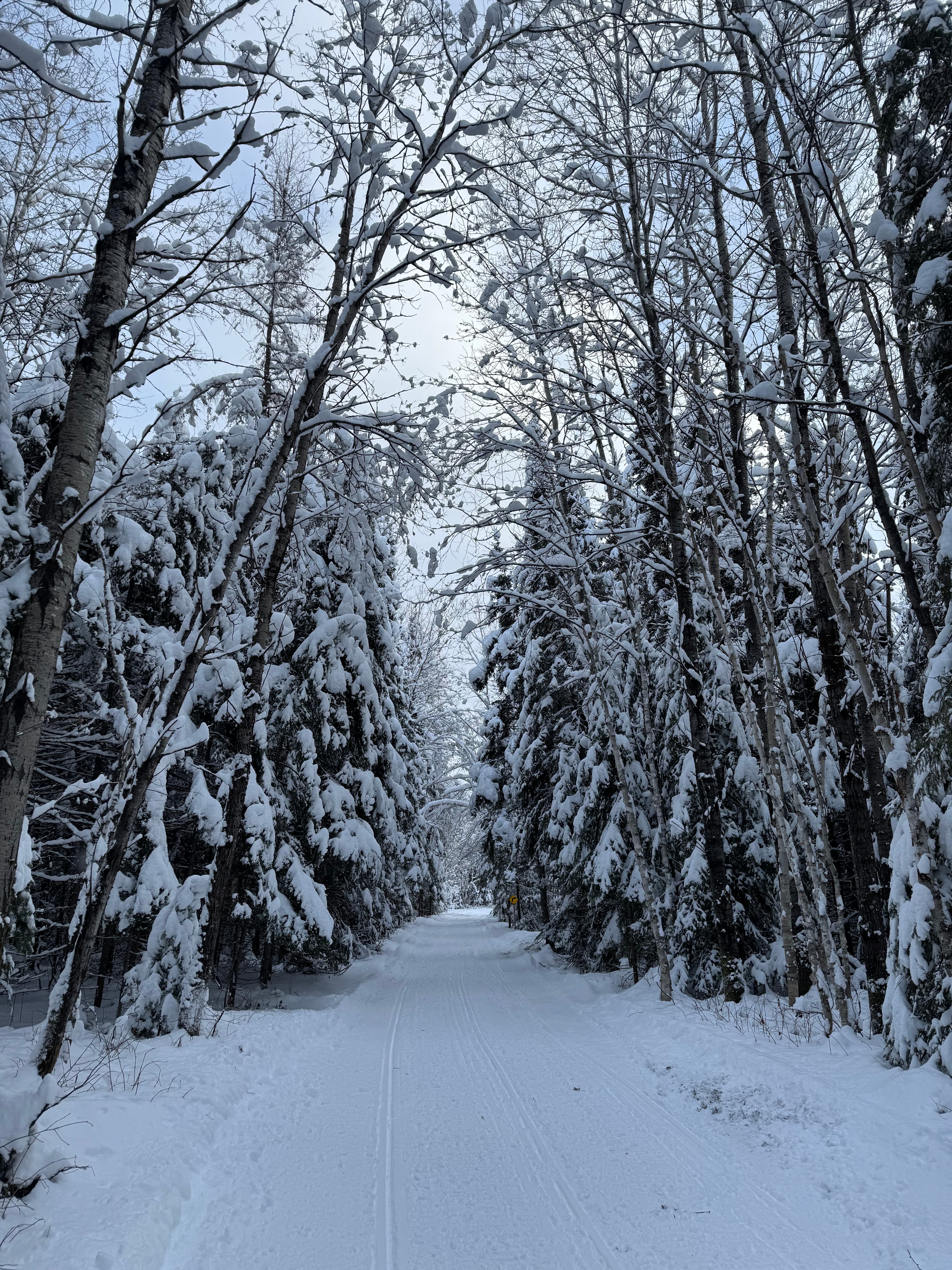 Hiking trails across the 140-acre estate