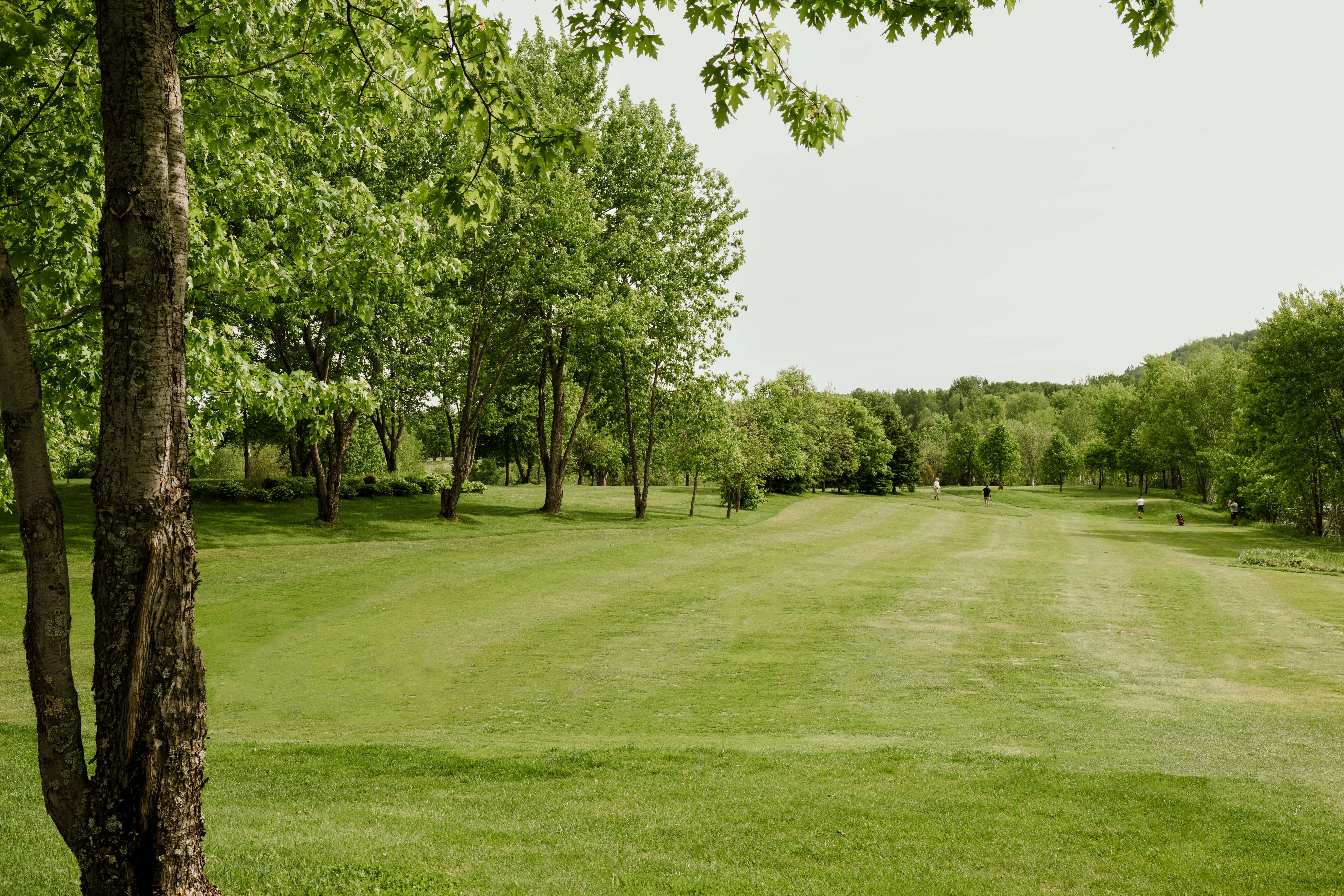 The golf course at Le Nordik Réserve Boréale in summer, in Bégin, Saguenay