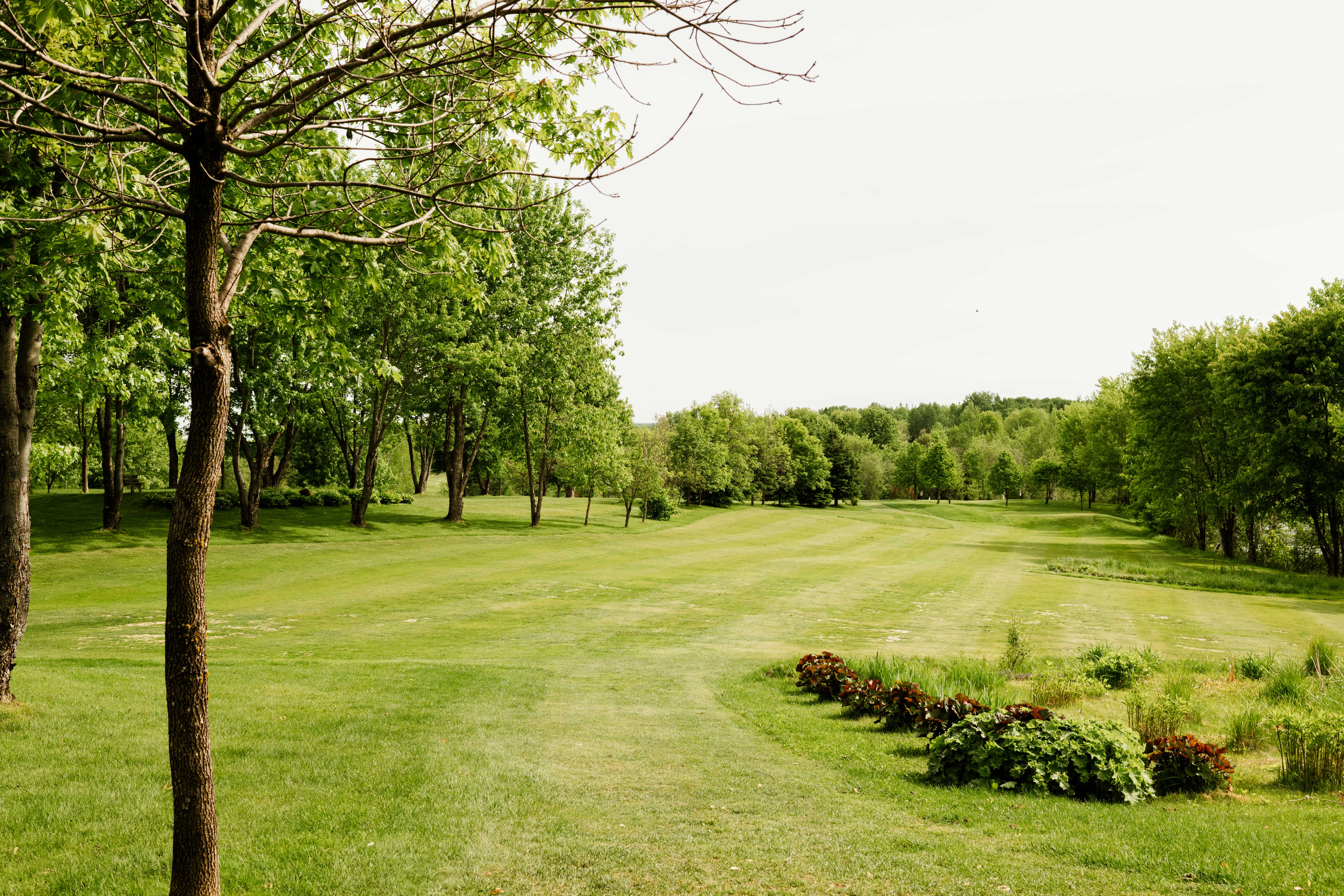 A fairway on the 9-hole golf course in summer